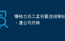 曝格力员工孟羽童违规接私活，遭公司开除