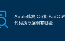 Apple修复iOS和iPadOS中的代码执行漏洞有哪些