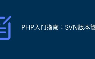 Getting Started with PHP: SVN Version Management