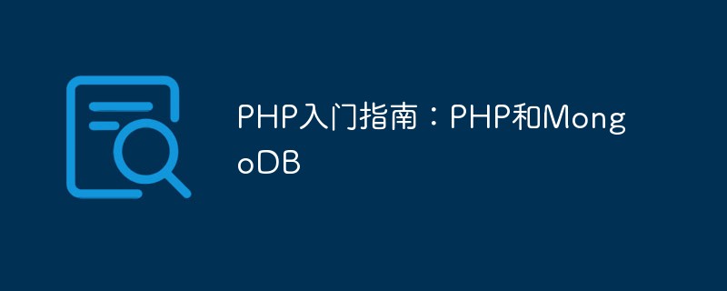 PHP入门指南：PHP和MongoDB