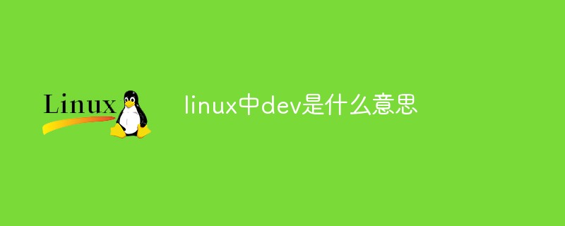 linux中dev是什么意思