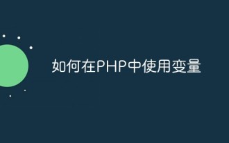 How to use variables in PHP