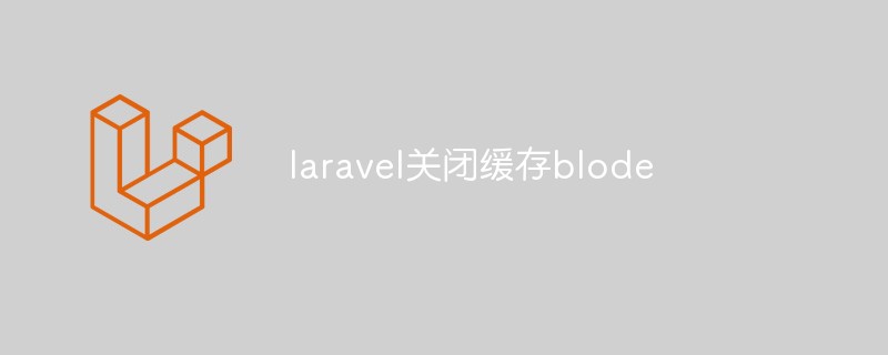 laravel close cache blode