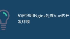 So verwenden Sie Nginx für den Umgang mit der Entwicklungsumgebung von Vue