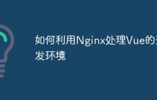 如何利用Nginx处理Vue的开发环境