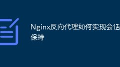 Wie der Nginx-Reverse-Proxy die Sitzungspersistenz implementiert