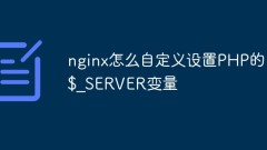So passen Sie die PHP-Variable $_SERVER in Nginx an