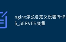 nginx怎么自定义设置PHP的$_SERVER变量