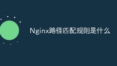 Was sind die Nginx-Pfad-Matching-Regeln?