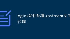 So konfigurieren Sie den Nginx-Upstream-Reverse-Proxy