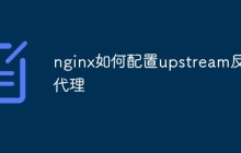 nginx如何配置upstream反向代理