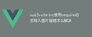 vue3+vite:src使用require动态导入图片报错怎么解决