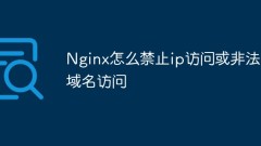 So verbieten Sie den IP-Zugriff oder den Zugriff auf illegale Domänennamen in Nginx