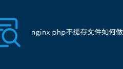 Wie man Nginx PHP dazu bringt, Dateien nicht zwischenzuspeichern