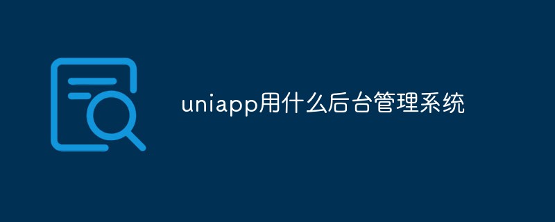 uniapp은 어떤 백엔드 관리 시스템을 사용하나요?