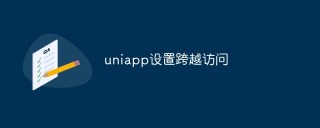 uniapp设置跨越访问