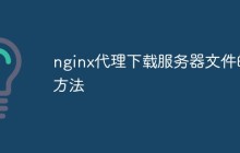 nginx代理下载服务器文件的方法