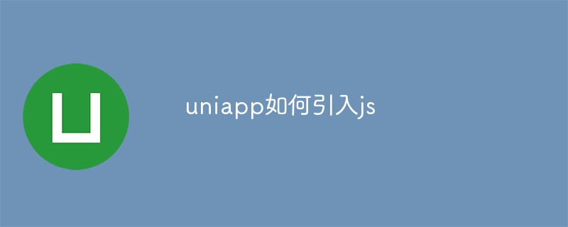 How to introduce js in uniapp