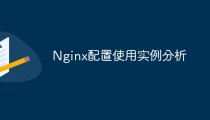 Nginx配置使用实例分析