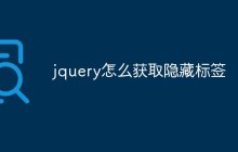 jquery怎么获取隐藏标签