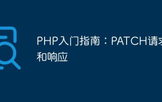 Premiers pas avec PHP : requêtes et réponses PATCH