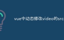 vue中动态修改video的src