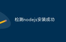 检测nodejs安装成功