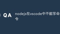 nodejs在vscode中不能写命令