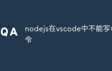 nodejs在vscode中不能写命令