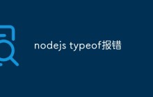 nodejs typeof报错