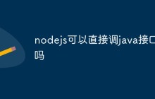 nodejs可以直接调java接口吗