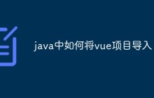 java中如何将vue项目导入