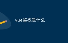 vue鉴权是什么