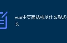 vue中页面结构以什么形式村长