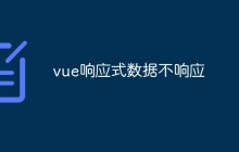 vue响应式数据不响应