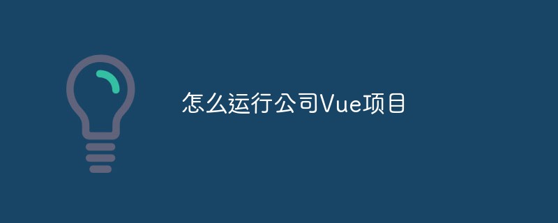 会社の Vue プロジェクトを実行する方法