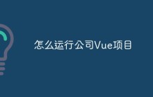 怎么运行公司Vue项目