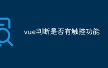 vue判断是否有触控功能