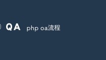 php oa流程