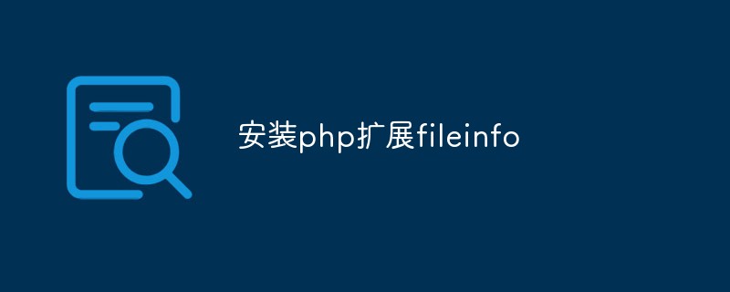 Installieren Sie die PHP-Erweiterung fileinfo