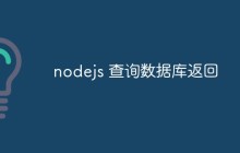 nodejs 查询数据库返回