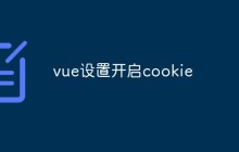 vue设置开启cookie