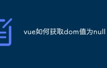 vue如何获取dom值为null