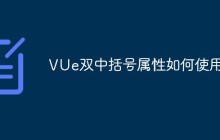 VUe双中括号属性如何使用