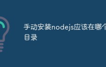 手动安装nodejs应该在哪个目录