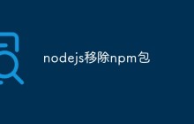nodejs移除npm包