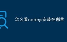 怎么看nodejs安装在哪里