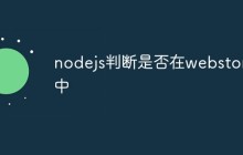 nodejs判断是否在webstorm中