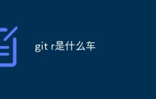 git r是什么车