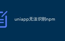 uniapp无法识别npm